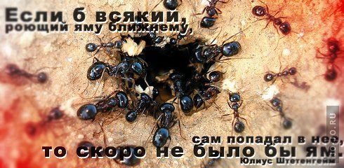 ������ ��������� ���������