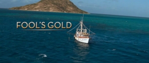   / Fool's Gold (2008) DVDrip
