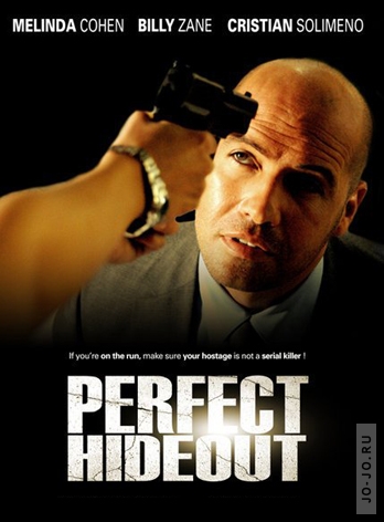 Идеальное убежище / Perfect Hideout (2008) DVDRip