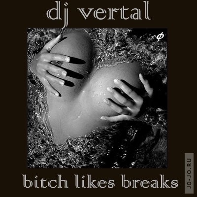 Bitch likes breaks (Mixed by Dj Vertal)