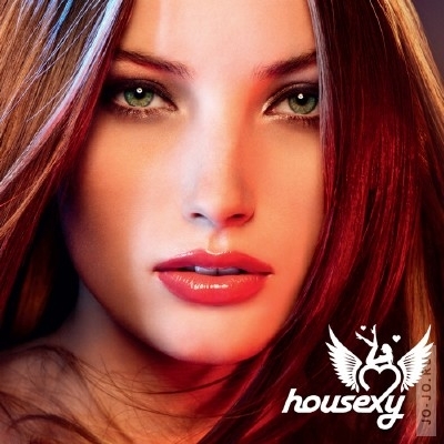 Housexy 2009 (mixed by Mobin Master and Those Usual Suspects)