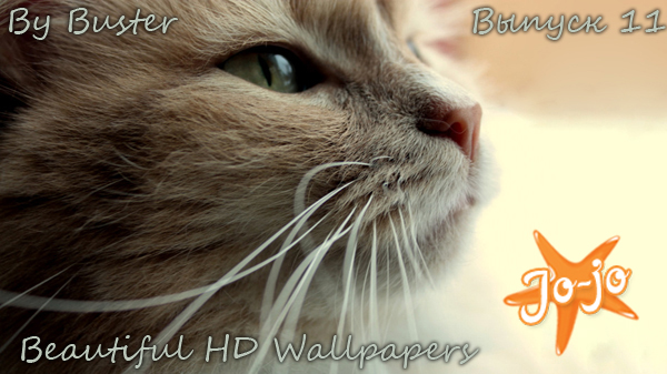 Beautiful HD Wallpapers. By Buster  11