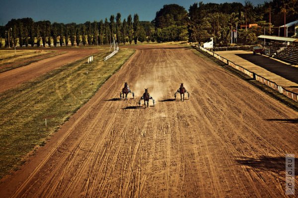 The Horse Races...  Kalle Gustafsson
