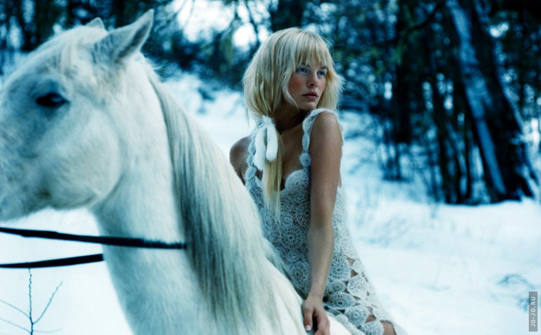 Фото Девушка на белом коне.