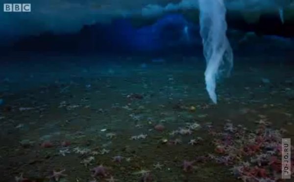 'Brinicle' ice finger of death filmed in Antarctic