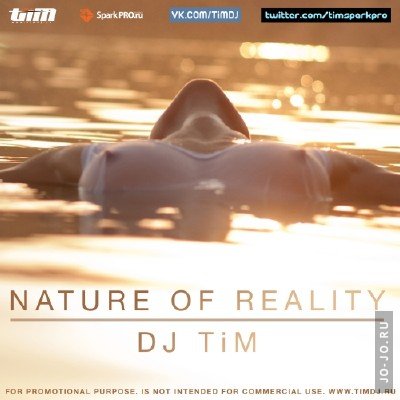 Dj TIM - Nature of Reality (2012)