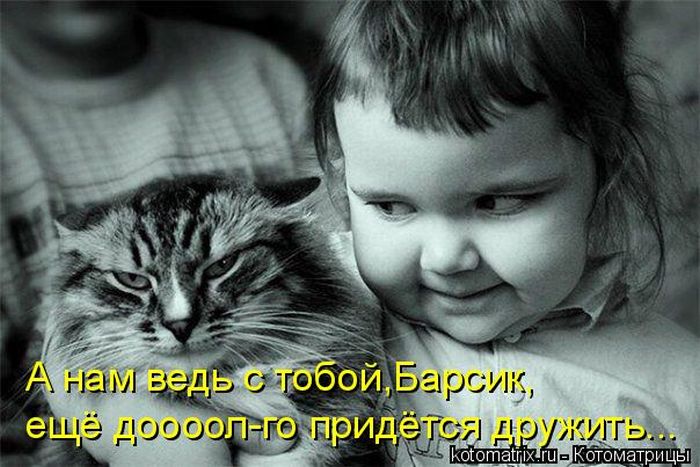 http://jo-jo.ru/uploads/posts/2012-01/1327054143_kotomatrix_37.jpg