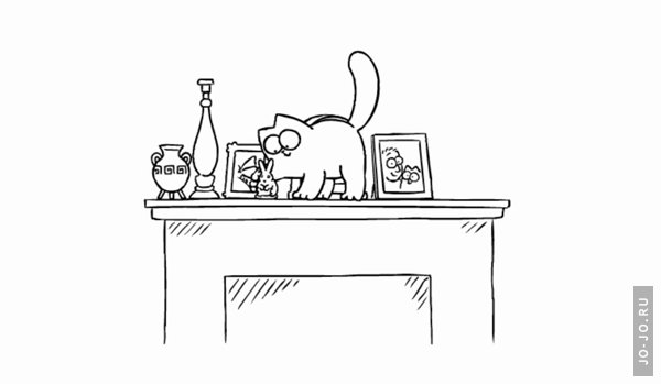Simon's Cat in 'Shelf Life'