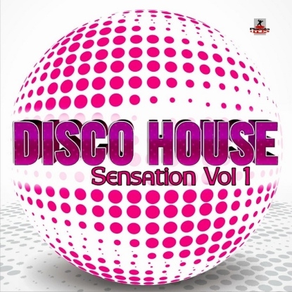 Disco House Sensation Vol. 1