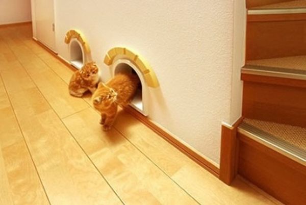 Креативная мебель для котов