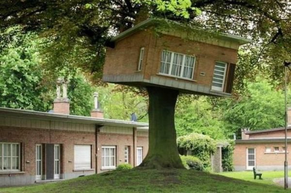 Интересные идеи по размещению домов на деревьях