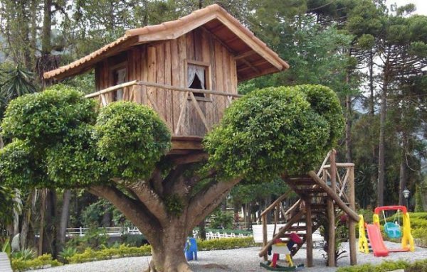Интересные идеи по размещению домов на деревьях