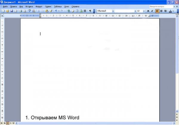      MS Word