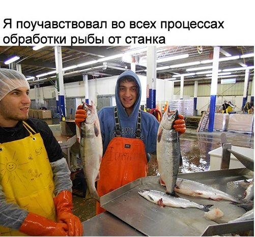 Как русский айтишник отправился работать на рыбзавод в США