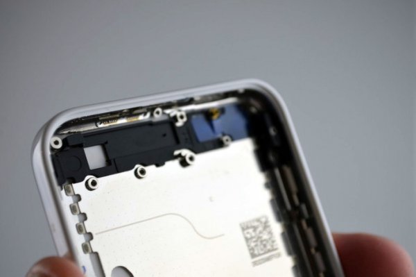      iPhone 5C
