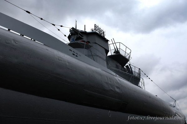    U-995