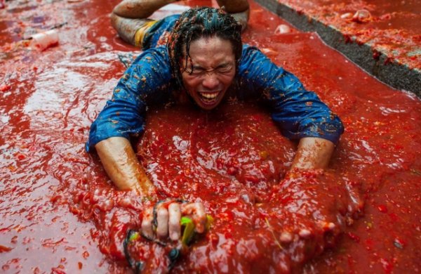  La Tomatina 2013:   