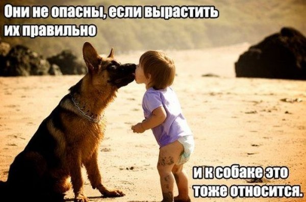 http://jo-jo.ru/uploads/posts/2014-04/thumbs/1396948515_podborka_18.jpg