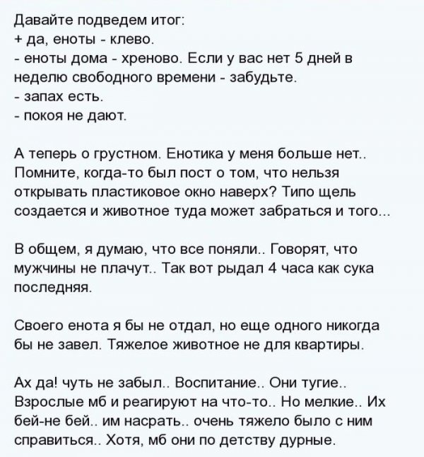 http://jo-jo.ru/uploads/posts/2014-07/thumbs/1404811467_enot_14.jpg