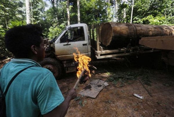 Коренные жители Амазонки борются с лесорубами