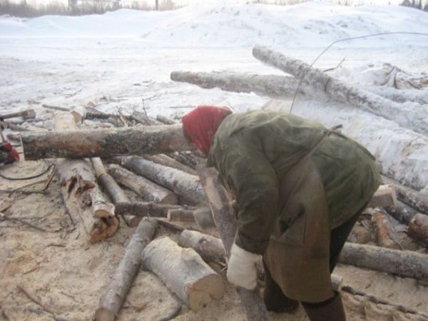 Тяжелый женский труд на предприятии в Архангельской области