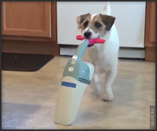 ������ ����� ���������