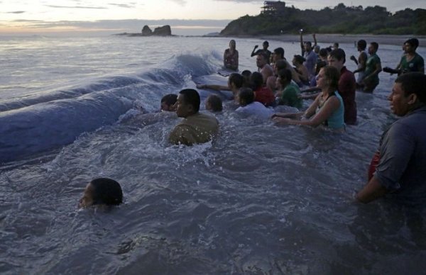 Жители и туристы Никарагуа попытались спасти кита