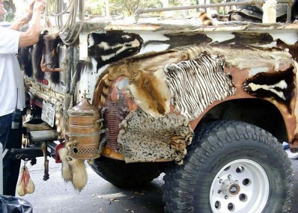 Раритетный пикап Ford обвесили трупами 50-ти животных