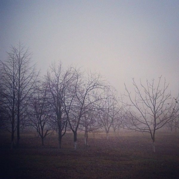 Густой туман превратил Краснодар в Сайлент-Хилл