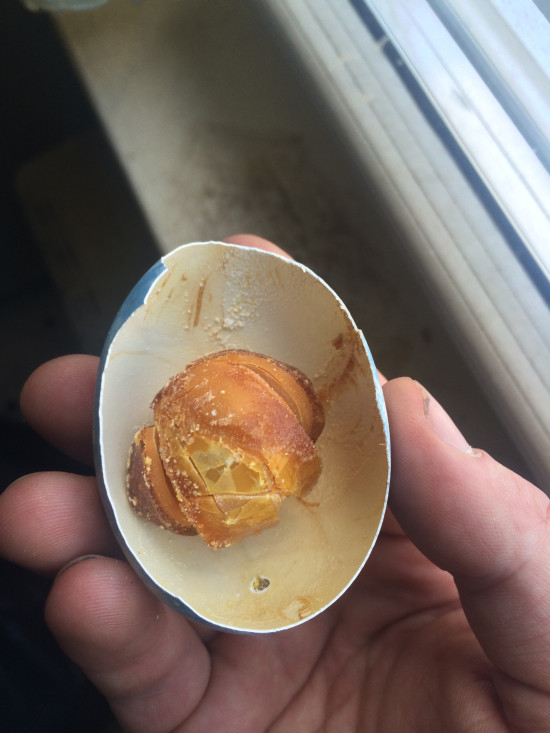Пасхальное яйцо, которое 25 лет пролежало в холодильнике