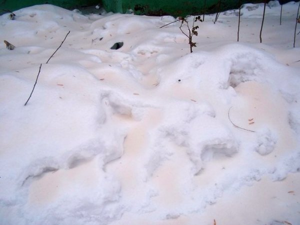 Саратов покрыт оранжевым снегом