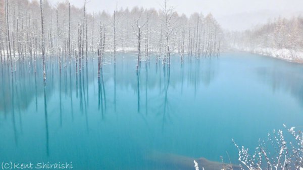 Голубой пруд города Бией на фотографиях Кента Шираиши