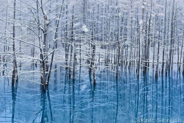 Голубой пруд города Бией на фотографиях Кента Шираиши