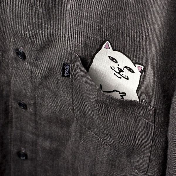 Кошка в кармане