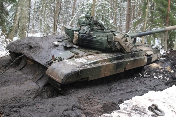 Приключения польских танкистов в лесу