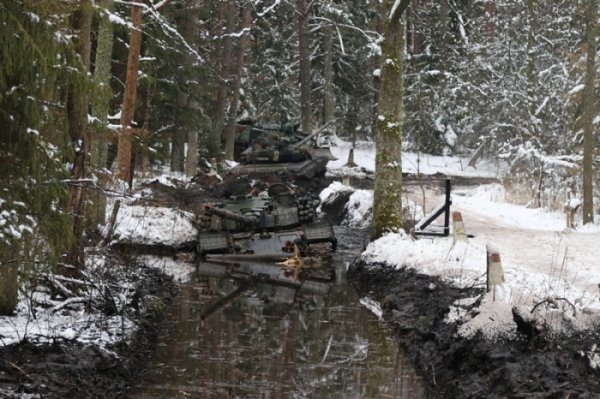 Приключения польских танкистов в лесу