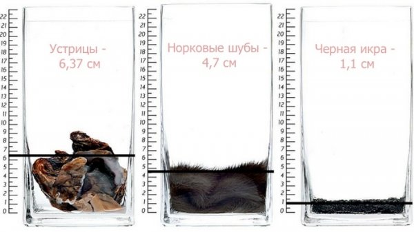 «Адлер — Красная Поляна» – самая лучшая и самая дорогая дорога в России
