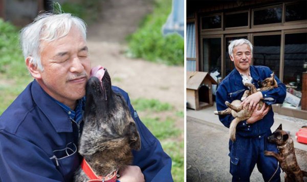 55-летний японец вернулся в радиоактивную зону Фукусимы, чтобы кормить брошенных там животных