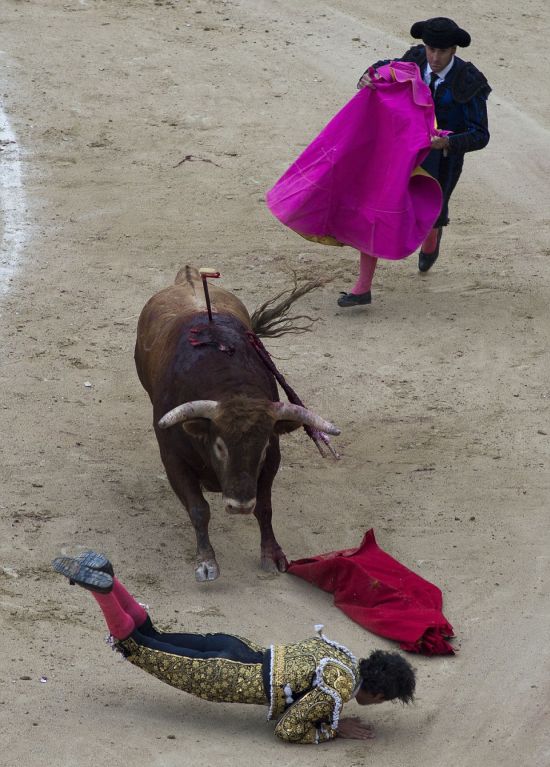 В Мадриде раненный бык поднял на рога матадора