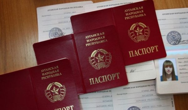 Юные граждане ЛНР первыми получили паспорта молодой республики