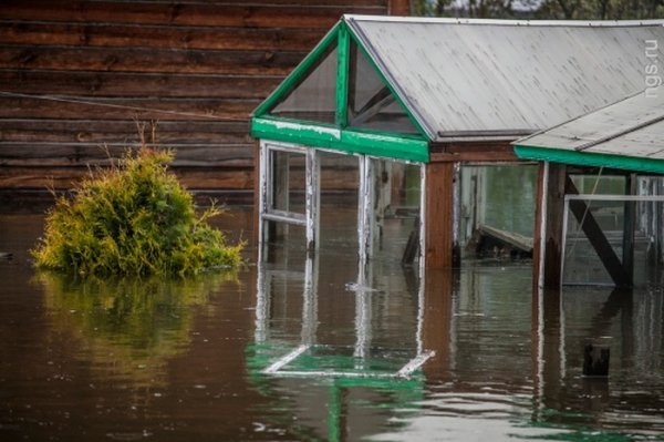 Новосибирск переживает сильнейшее за полвека наводнение