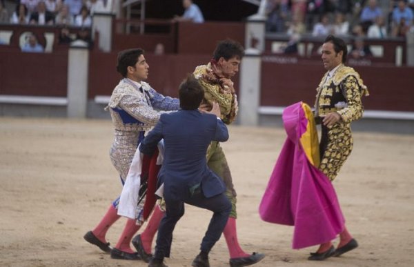 В Мадриде раненный бык поднял на рога матадора
