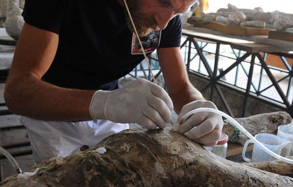 Что находят под застывшей лавой Везувия в Помпеях