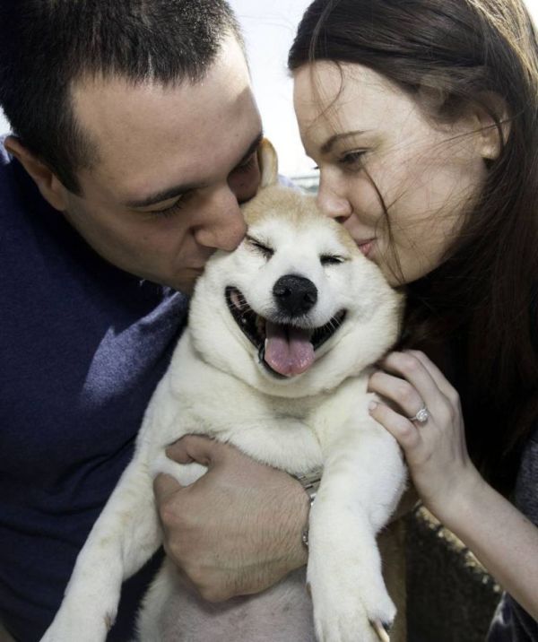 Корица - самая счастливая собака в мире