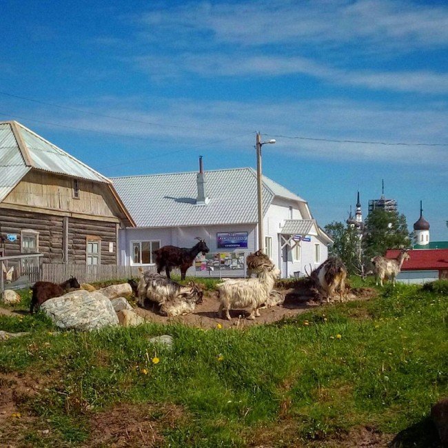 Соловецкие острова на фото в Instagram
