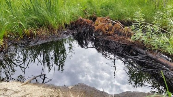 В Нижневартовске обнаружены разливы нефти