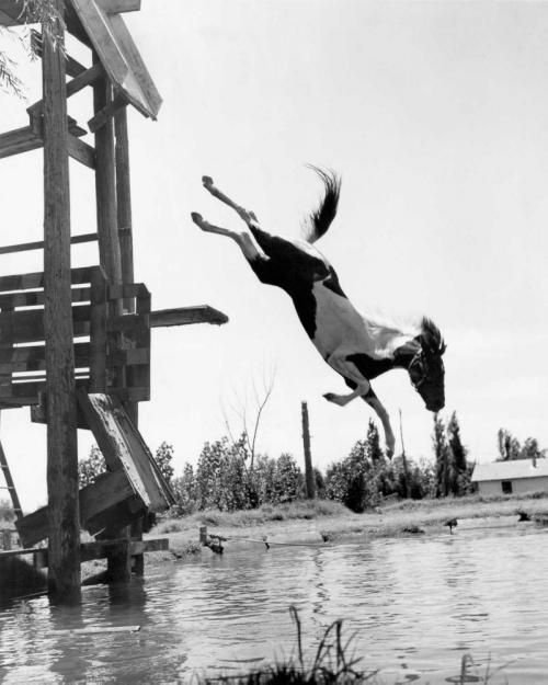 Подборка редких фотографий со всего мира. Часть 26 Подборка редких фотографий со всего мира. Часть 26