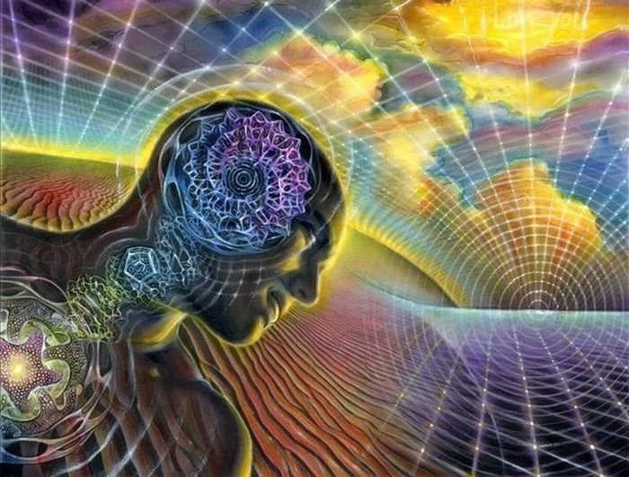 Любопытные факты о различных человеческих поступках Любопытные факты о различных человеческих поступках