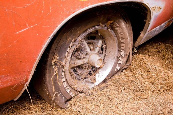      - Dodge Charger Daytona 1969   