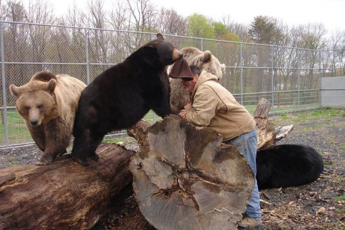 Как 700-килограммовый медведь стал настоящим другом американца